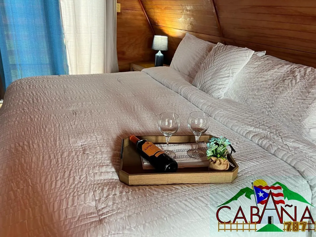 Chalet Cabana 787 Lares Puerto Rico